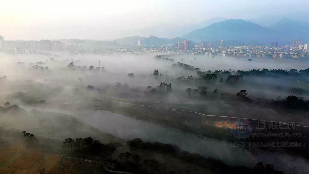 动物帮帮忙保卫家园